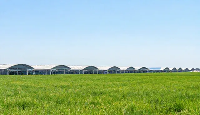 技术转让中的选型与使用问题处理建议